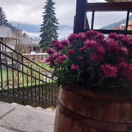 λαγουμι α1 아파트 *