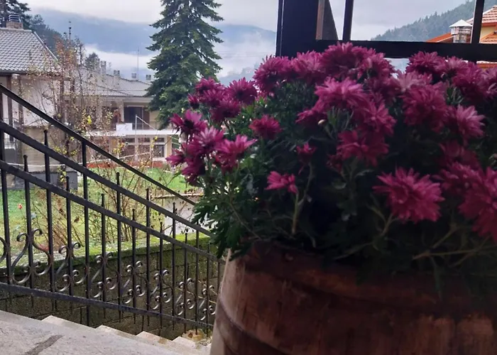 λαγουμι α1 Apartment *